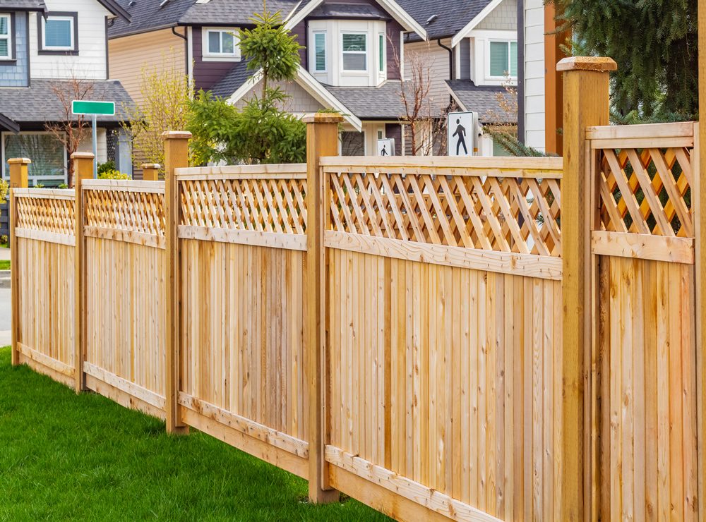 Cedar privacy fence